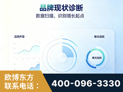 罗定-品牌现状诊断