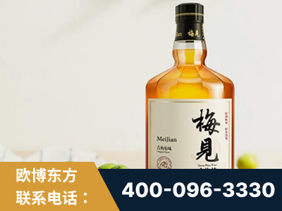 罗定-梅见青梅酒