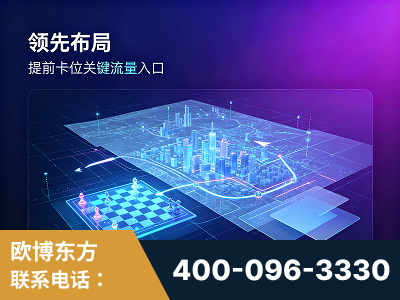 罗定-领先布局：于2024年初开启GEO业务的公司